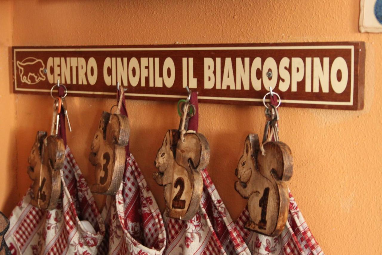 Villa Il Biancospino Casteggio Exterior foto